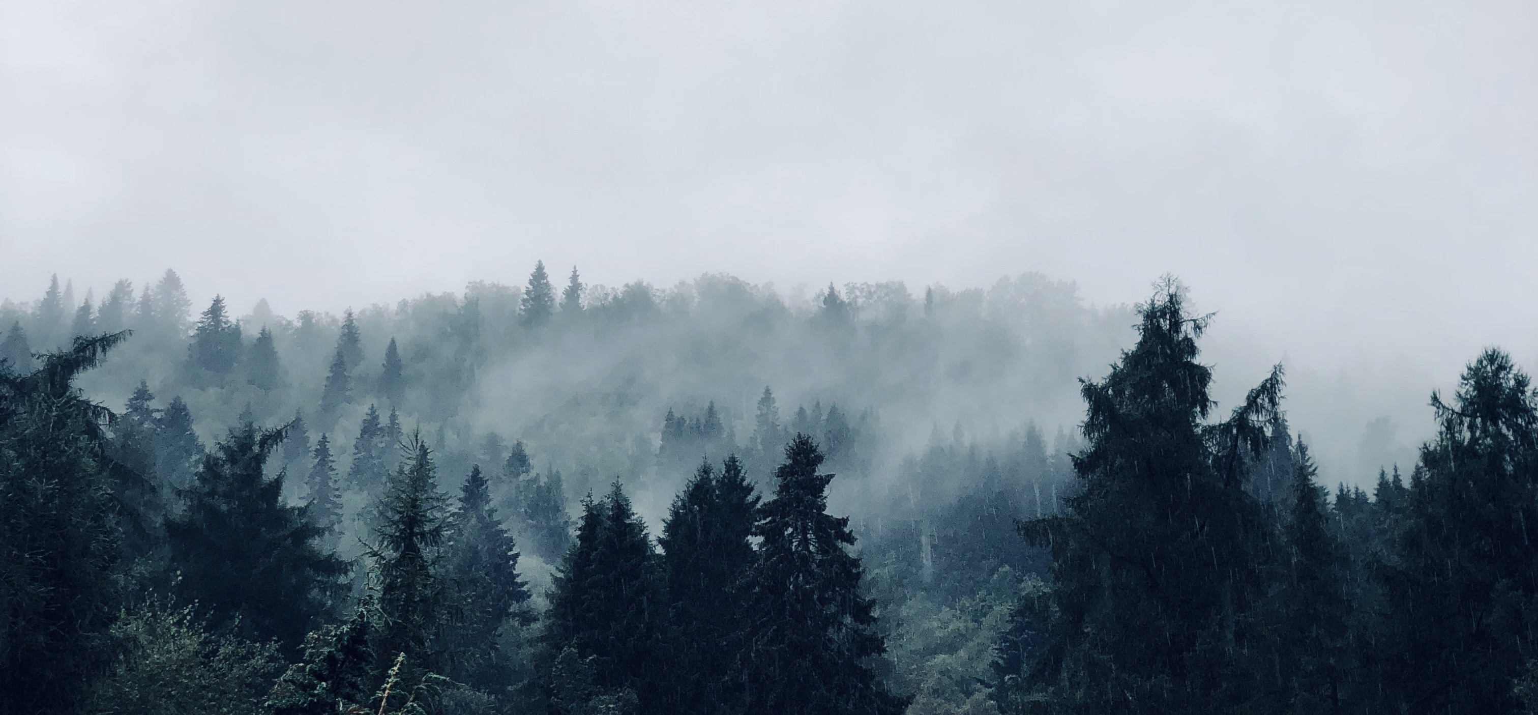 I'm starting a blog!